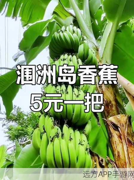 香蕉视频岛国：香蕉视频岛屿＂ 🍌