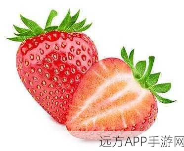 免费草莓视频下载app52x.：草莓视频下载APP，无需付费的首选52x！🍓