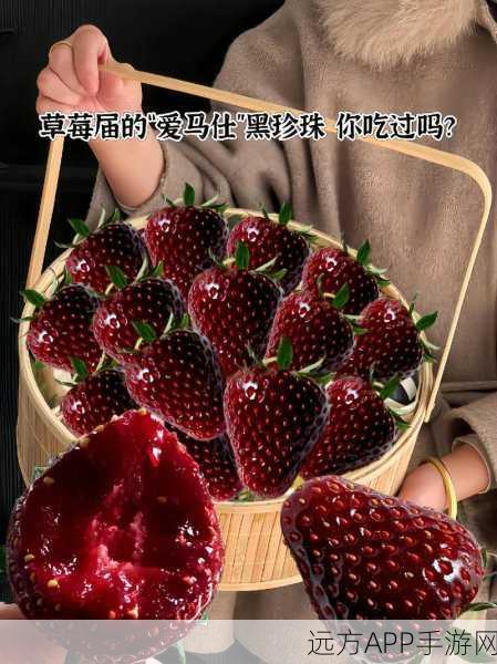 www.草莓视频：草莓影视＂ 🍓