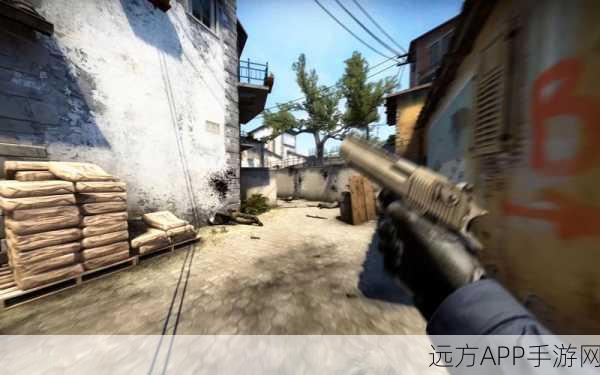 17岁俄罗斯csgo：激情、挑战与成长_攻略_七弟手游：17岁俄罗斯CS：GO：热情、挑战与成长指南 - 七弟手游＂ 🎮