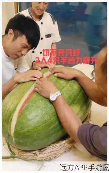 51吃瓜：51围观＂ 🍉