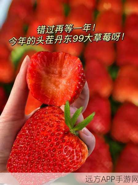 草莓视频污无限：无限畅享草莓视频＂ 🍓