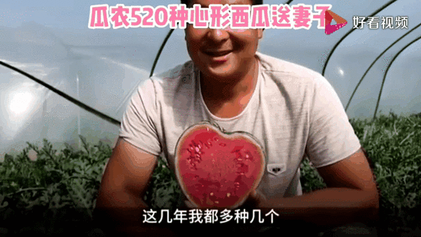 黑料爆料在线吃瓜：内幕传闻实时围观＂🍉