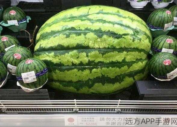 黑料爆料在线吃瓜：内幕传闻实时围观＂🍉