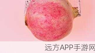 石榴视频：红果影像＂ 🍎