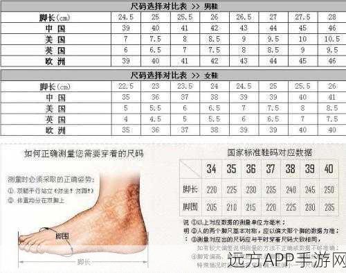 三叶草亚洲码与欧码高清完整版：三叶草亚洲码与欧洲码高清版＂ 🎥