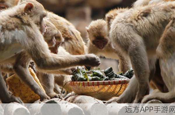 女生与男生勇力生猴子：女生与男生勇敢挑战，创造精彩时刻＂ 🐒