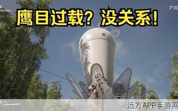 探秘原子之心 4 号鹰目试验场，轻松进入的秘籍指南