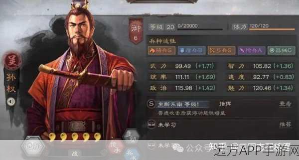 三国志战略版，孙权 T0 阵容的无敌秘诀