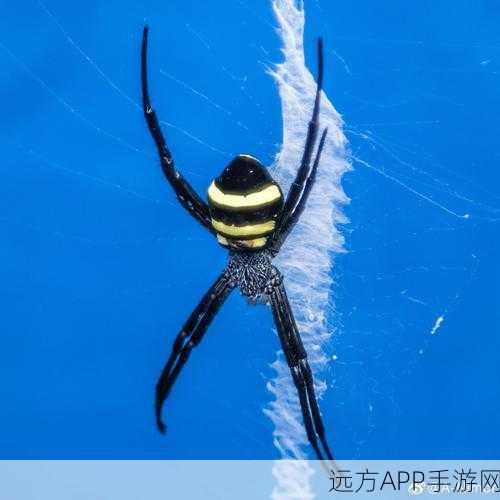 蛛魔几丁质去哪刷：蛛魔几丁质的获取地点＂ 🕷️