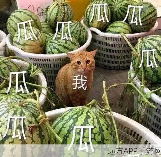 51吃瓜海角吃瓜黑料：51瓜友围观海角黑料＂ 🍉