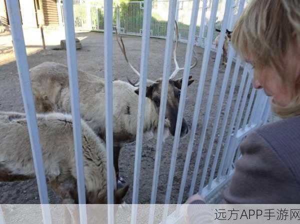 欧美人狗Zoo：欧美人犬趣园＂ 🐾