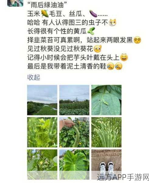 kdbacc.apk小蝌蚪秋葵：kdbacc.apk小蝌蚪黄瓜＂🥒