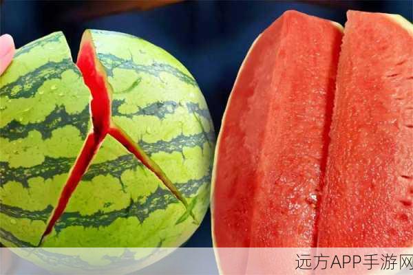 51吃瓜mg：51瓜友聚集地＂ 🍉