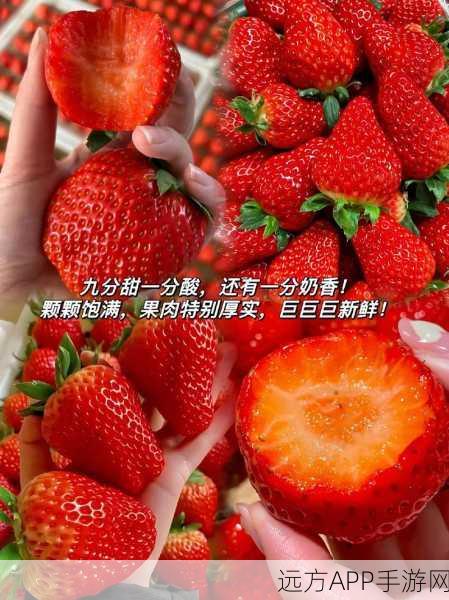 草莓视频污黄：草莓视频隐私内容＂🍓