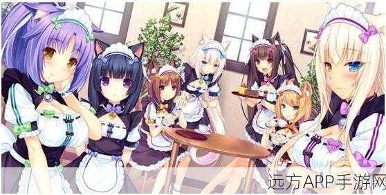 猫娘拔萝卜游戏大全免费版：猫娘萝卜冒险游戏合集免费版🎮