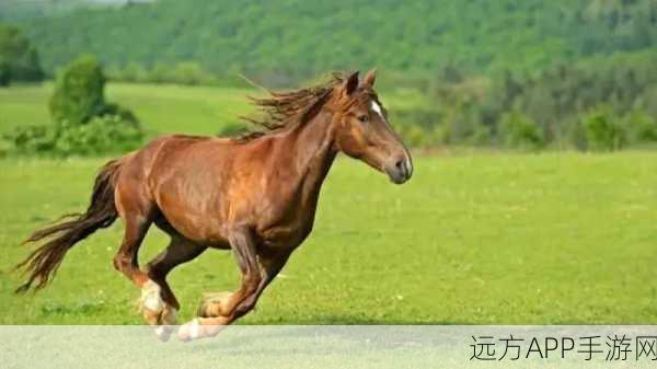 随着马的奔跑更加深入古代：随着马的奔跑深入历史长河＂🏇