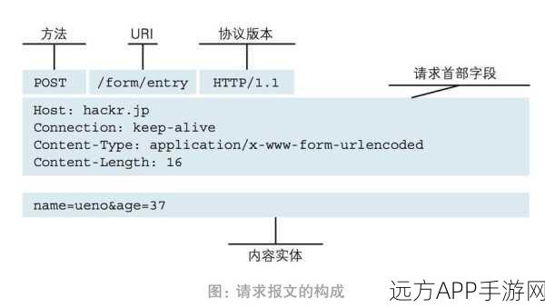 HTTP／／：网页传输协议＂ 🌐