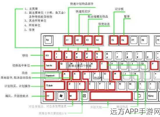 新新魔塔电脑版按键设置秘籍大公开