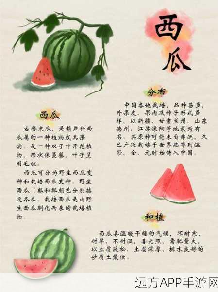 什么是51吃瓜网：51吃瓜网的介绍＂ 🍉