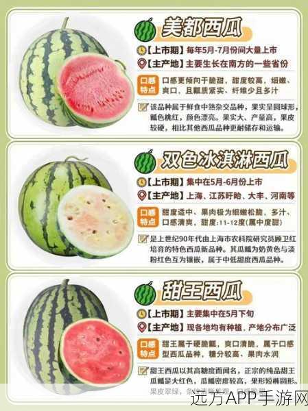 什么是51吃瓜网：51吃瓜网的介绍＂ 🍉