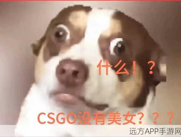 老外玩CSGO大姐姐的解决方法：国外玩家应对CSGO大姐姐的问题＂😊