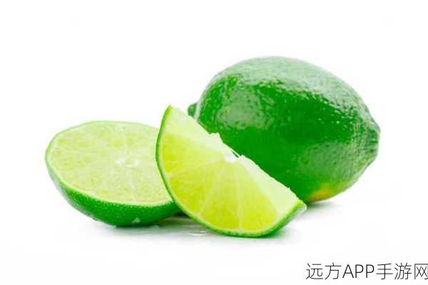 青柠在线观看免费完整版：完整版本的青柠在线观看＂ 🍋