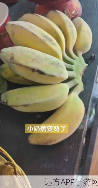 香蕉小视频：香蕉短视频＂ 🍌