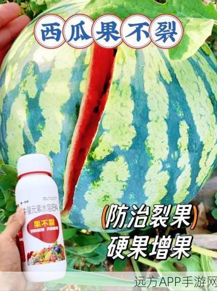 51今日大瓜：今日51热点揭秘🍉