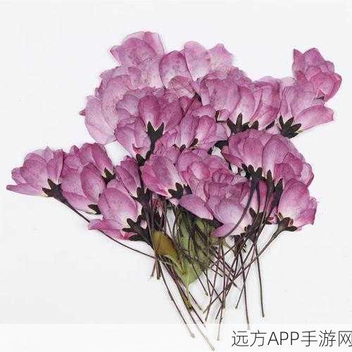 捻压花核：花核扭压处理＂ 🌸