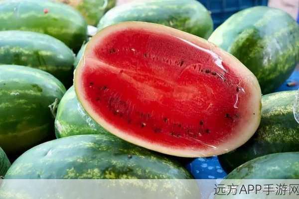 吃瓜网站18：瓜果资讯18＂ 🍉