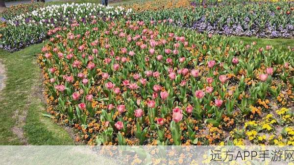 风雨送春归央视开播：春天的脚步伴随着风雨走进央视＂ 🌷