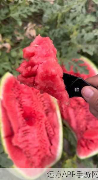 红领巾吃瓜爆料今日大瓜：红领巾揭秘今日热议新闻＂ 🍉