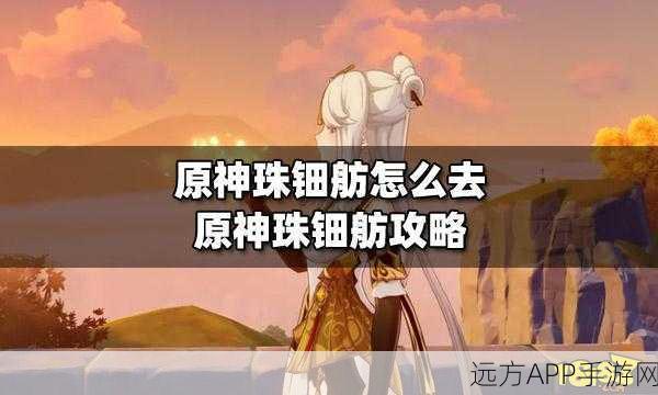 原神，极速奔赴珠钿舫 任务通关秘籍大揭秘