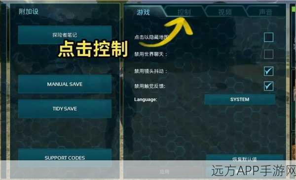 方舟，生存进化手游中文版设置指南及深度解析