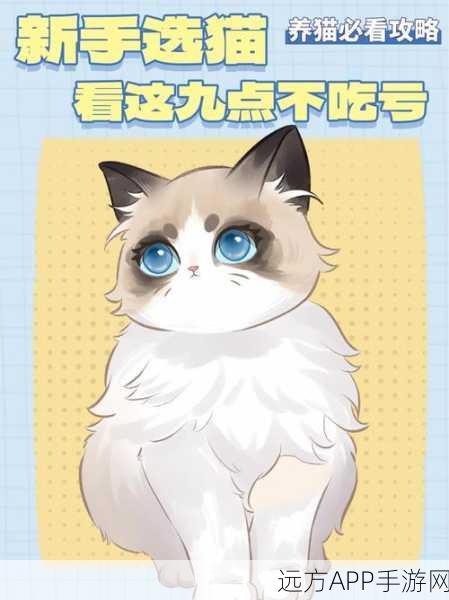 我的世界养猫攻略，轻松驯服萌宠猫咪，打造温馨家园