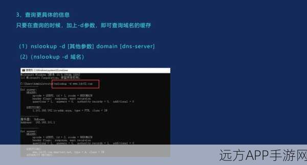 手游玩家必备神器，pdnstool DNS查询工具深度解析