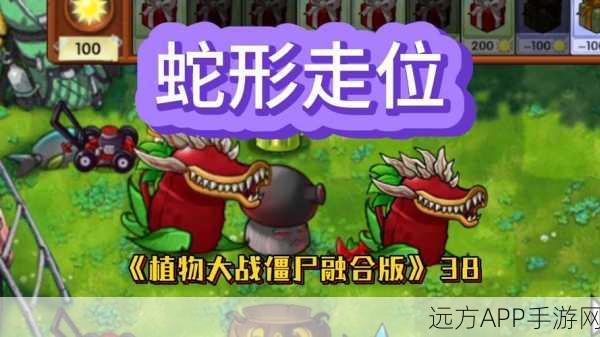 植物大战僵尸社区版，全新系统揭秘与精彩赛事预告