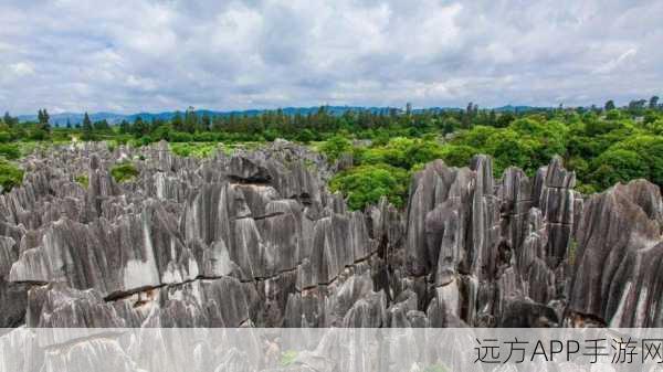 边境之旅高效刷鸭羽毛地点全揭秘，速通攻略大放送