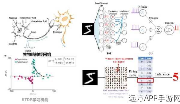 手游革新突破，SpikingJelly引领脉冲神经网络游戏新篇章