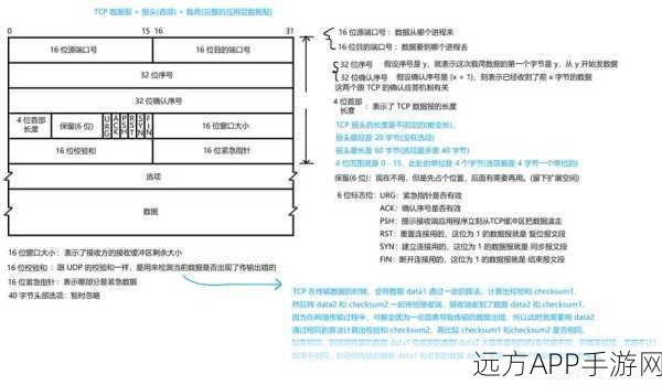 手游安全新纪元，Tcpcrypt协议如何为网络通信加密保驾护航？