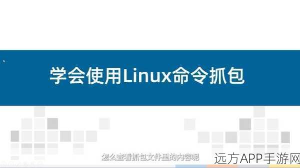 手游开发者必备，Linux包管理器深度解析，打造高效游戏开发环境