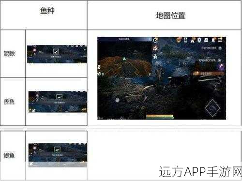 黑色沙漠手游,艾格里斯祭坛钓鱼绝佳地点全揭秘
