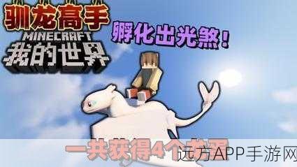 我的世界手游深度攻略,揭秘龙蛋孵化全过程