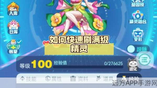 超详细攻略!超级精灵手表木叶喵培育秘籍与实战技巧大公开