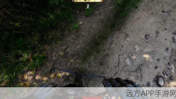 探寻天国拯救 2 中神秘的公鸡尾羽代码