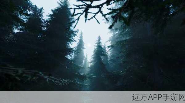 黑森林迷踪官网地址大揭秘，带你畅玩神秘世界