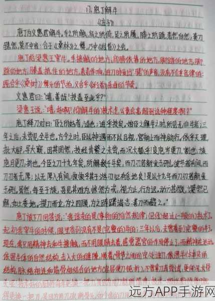 烟雨江湖,庖丁解牛背后的惊人秘密
