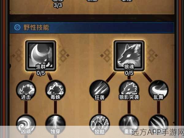 德鲁伊技能大揭秘,不休的乌拉拉流派攻略全解析