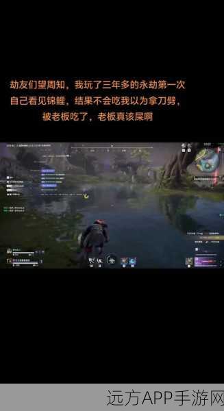 永劫无间，锦鲤出没秘籍！详尽位置与触发条件大公开
